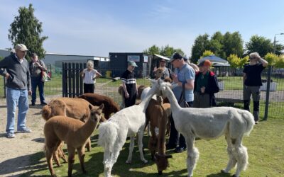 Warsztaty Ekologiczne